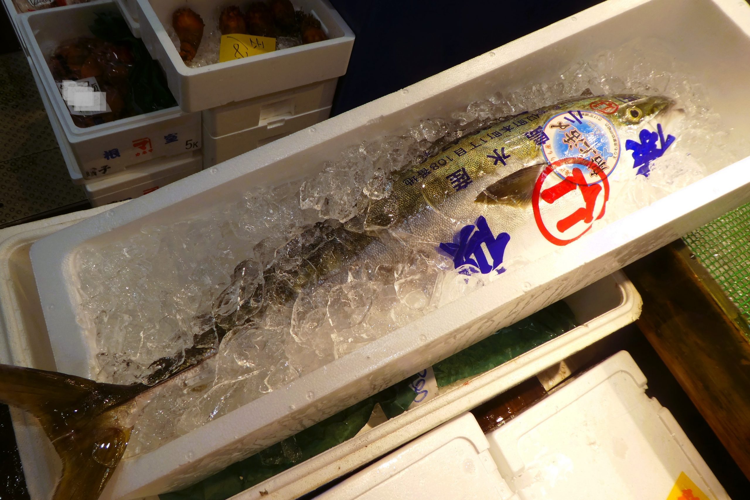 着払い】 サザエタマリ サザエ網 定置網の網使用、太い網 手荒い 