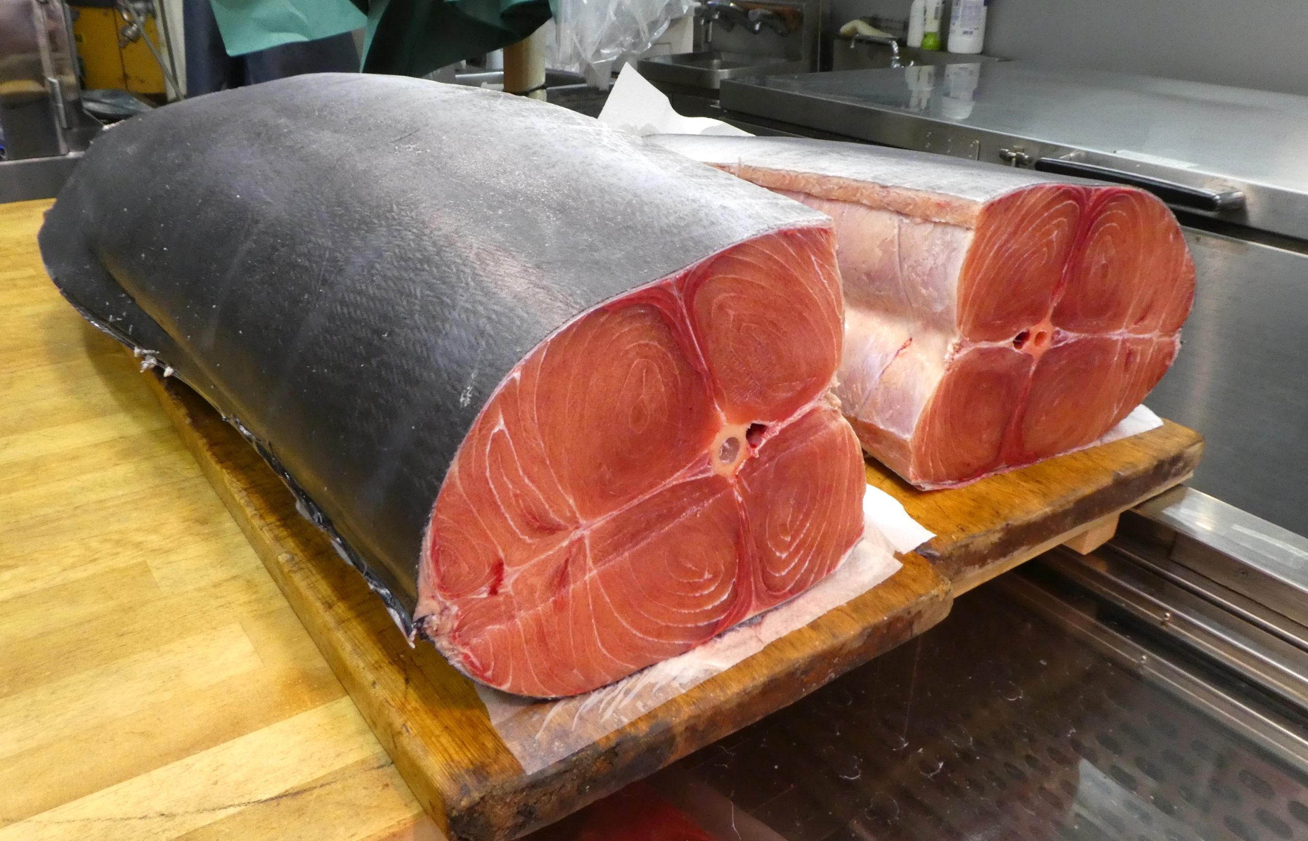 豊洲直送！脂の乗ったメカジキ腹身 ボビーのおすすめ 豊洲直送！脂の乗ったメカジキ腹身 ボビーのおすすめ o(^o^)o