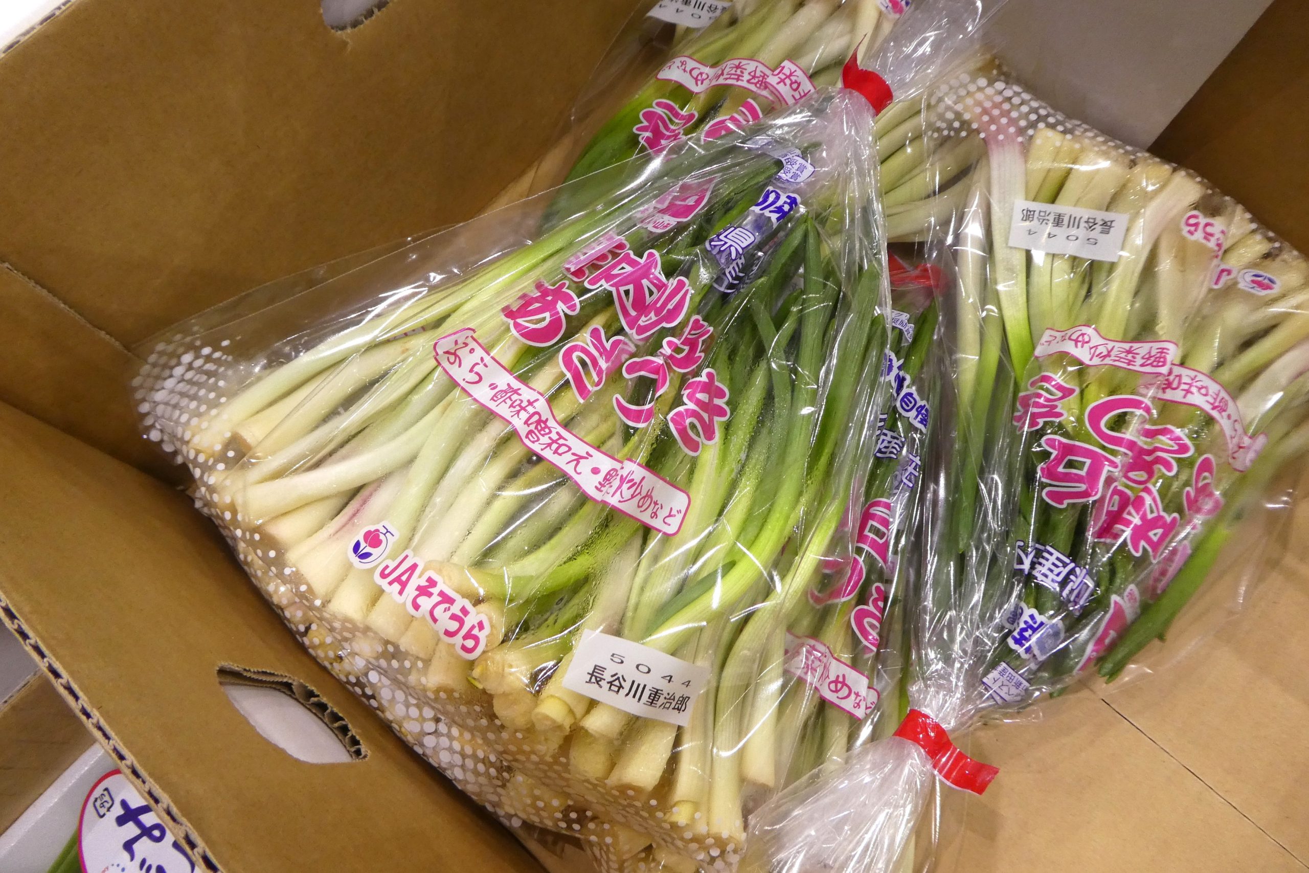 アサツキ】山形県の冬の味覚 | ザ・豊洲市場【公式】