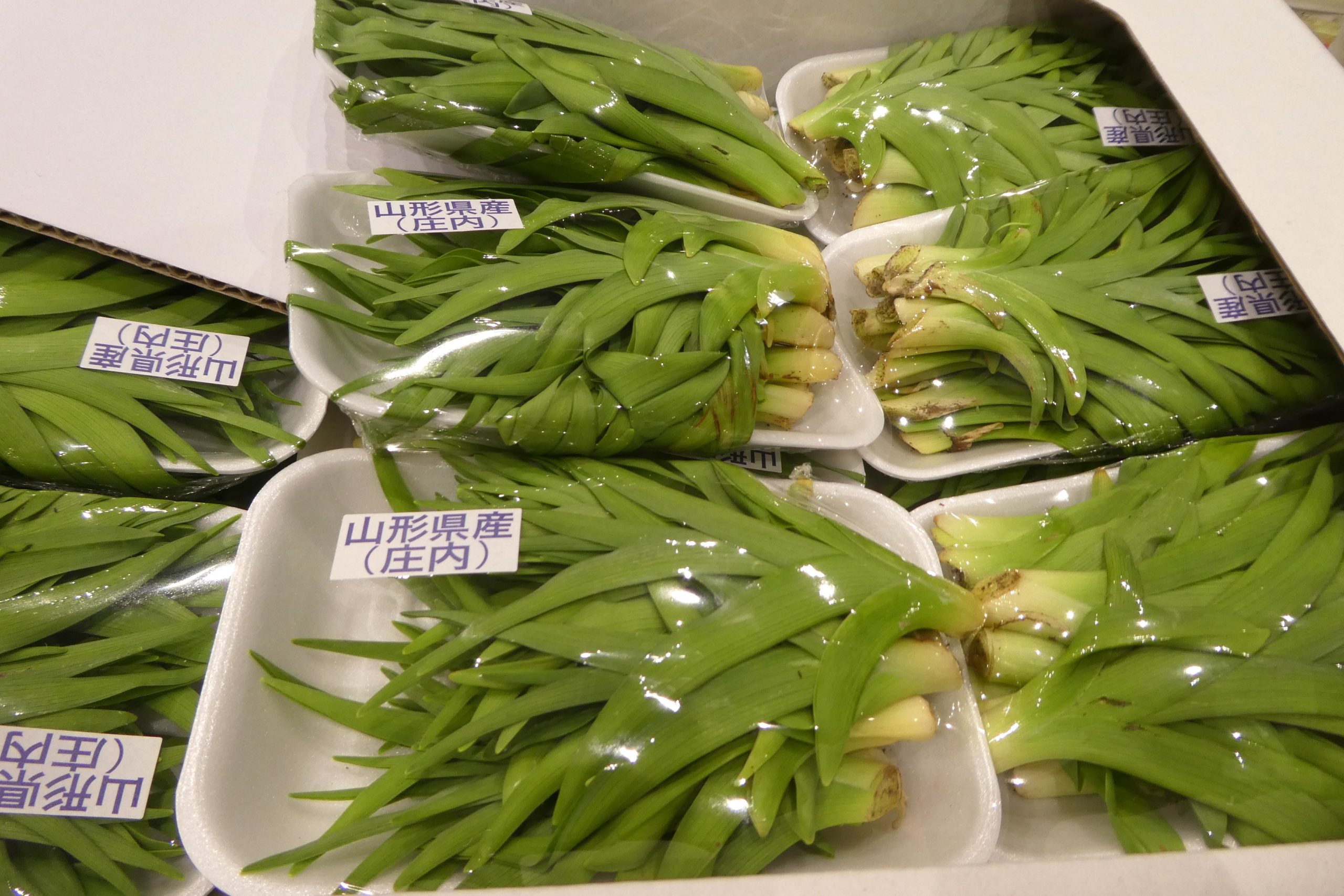 ノカンゾウ200g 　採取　当日発送　無農薬　山菜　新鮮 ノカンゾウ】クセがなく、甘みがある | ザ・豊洲市場【公式】