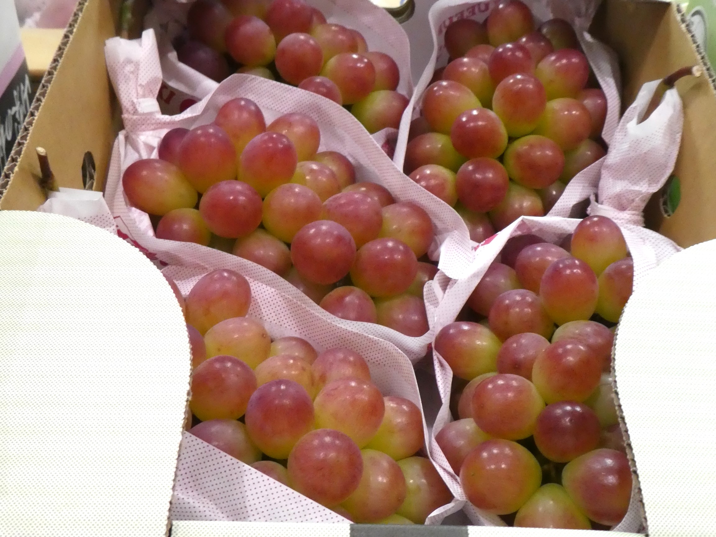 ブドウ】皮ごと食べられる「コトピー」 | ザ・豊洲市場【公式】