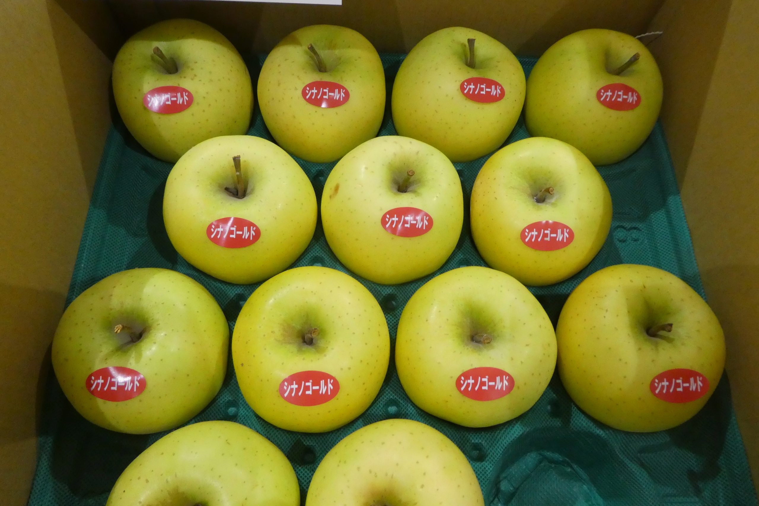 リンゴ】りんご三兄弟の3つ目 | ザ・豊洲市場【公式】