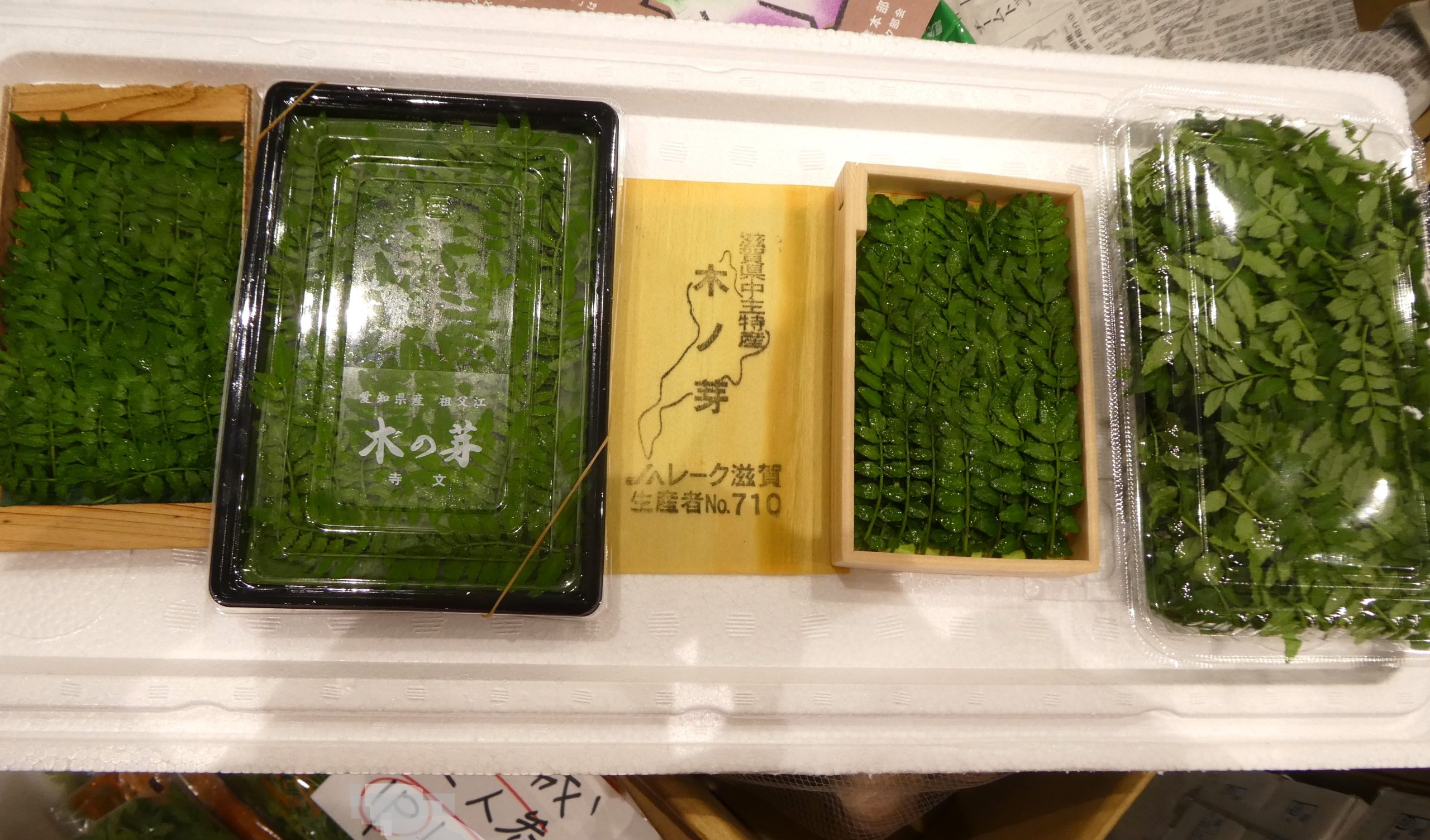 木の芽】サンショウの若芽 | ザ・豊洲市場【公式】