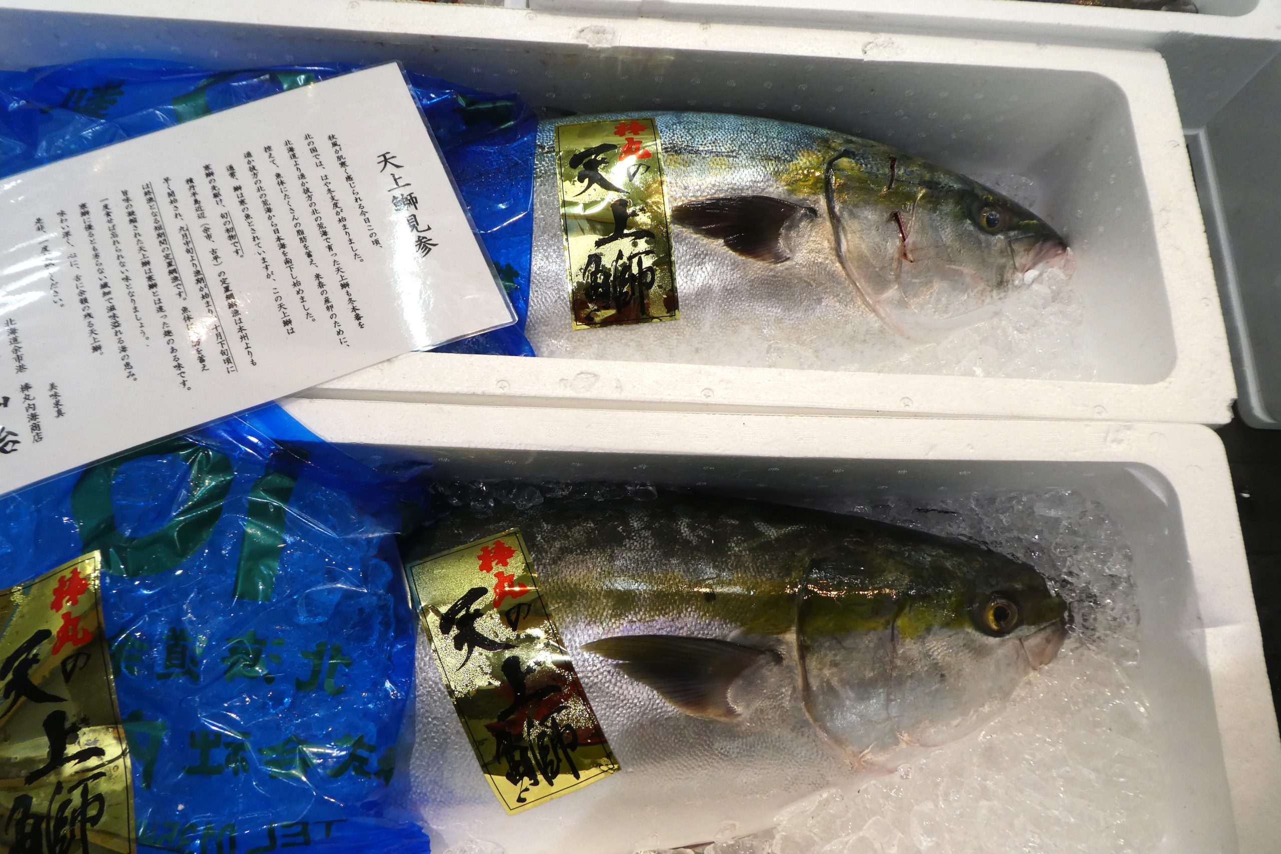 赤鰤 ブリ】積丹半島産「天上鰤」 | ザ・豊洲市場【公式】
