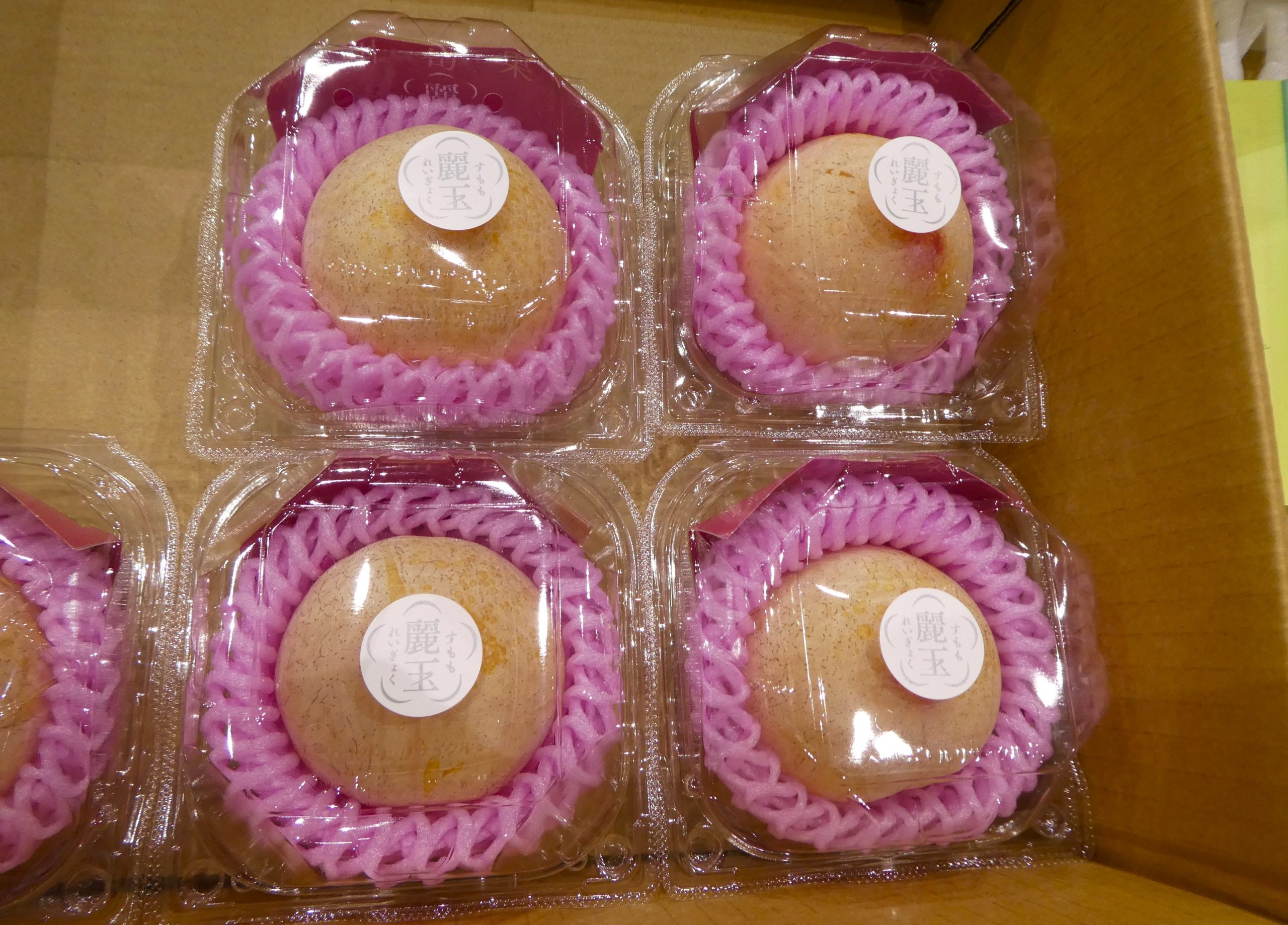 スモモ】晩生種シナノパールの「麗玉」 | ザ・豊洲市場【公式】