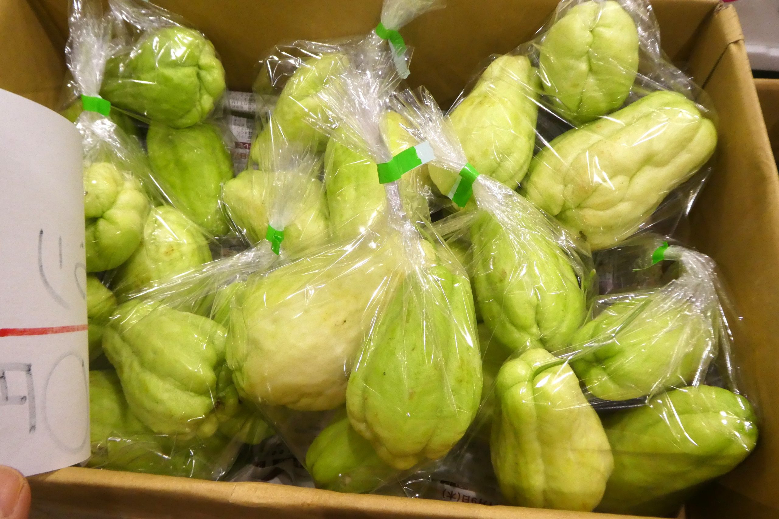 ハヤトウリ】鹿児島から全国へ | ザ・豊洲市場【公式】