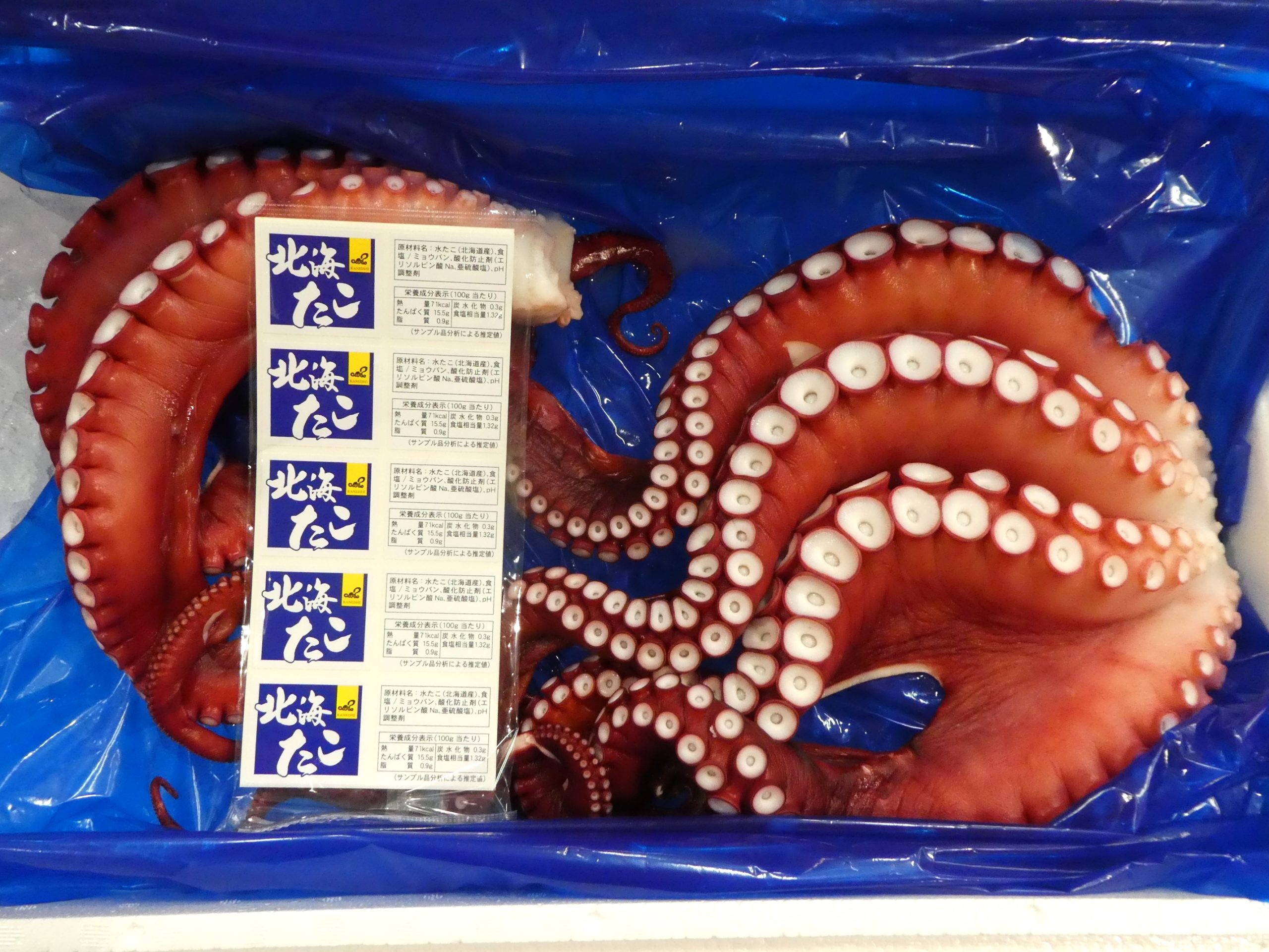 ミズダコ】とてもやわらかいタコ | ザ・豊洲市場【公式】