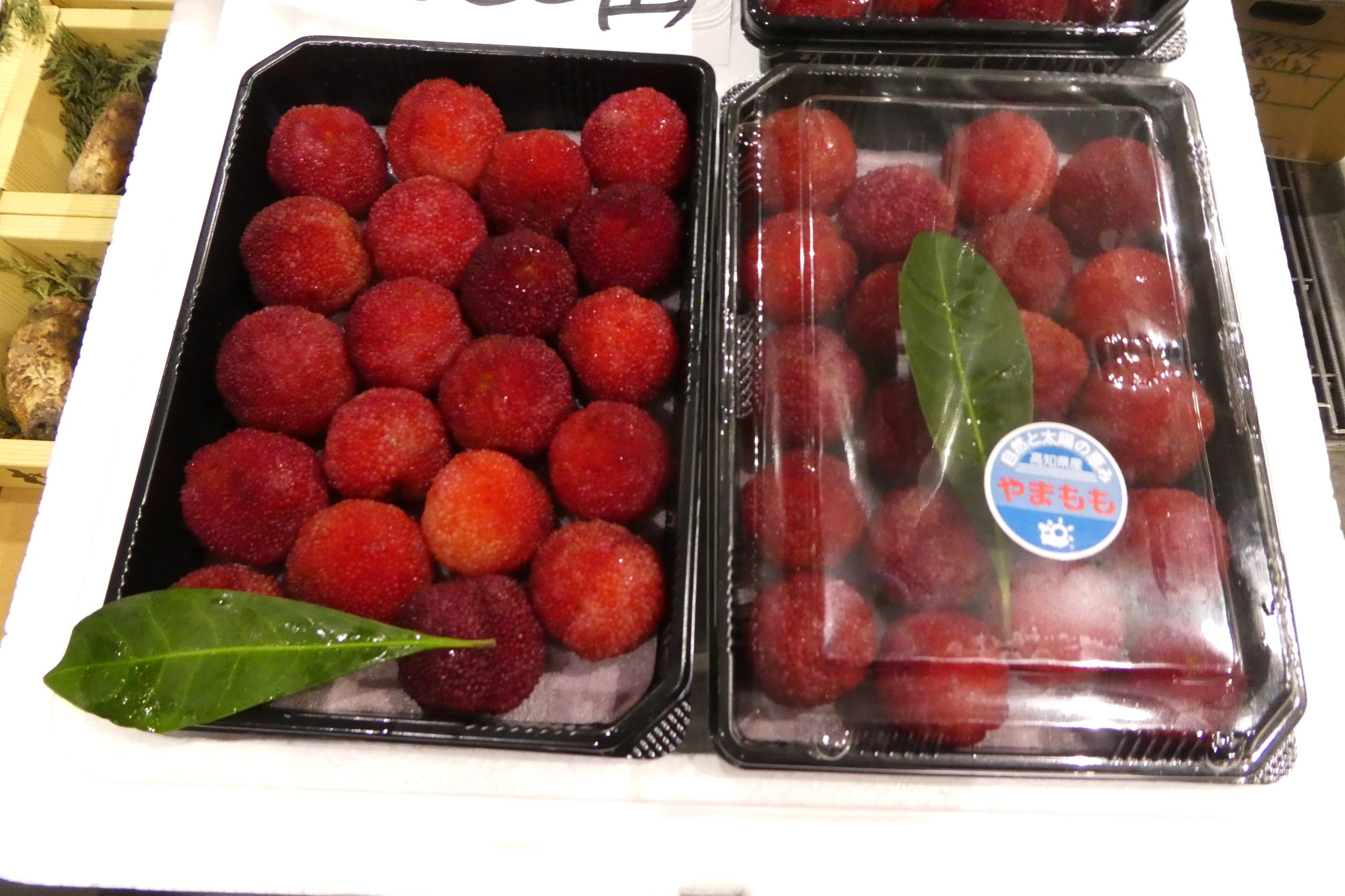 ヤマモモ 2kg 特大サイズ 中サイズ小ぶり込み 初夏の味覚、ヤマモモが3年連続不作 出荷量は昨年の3分の1以下