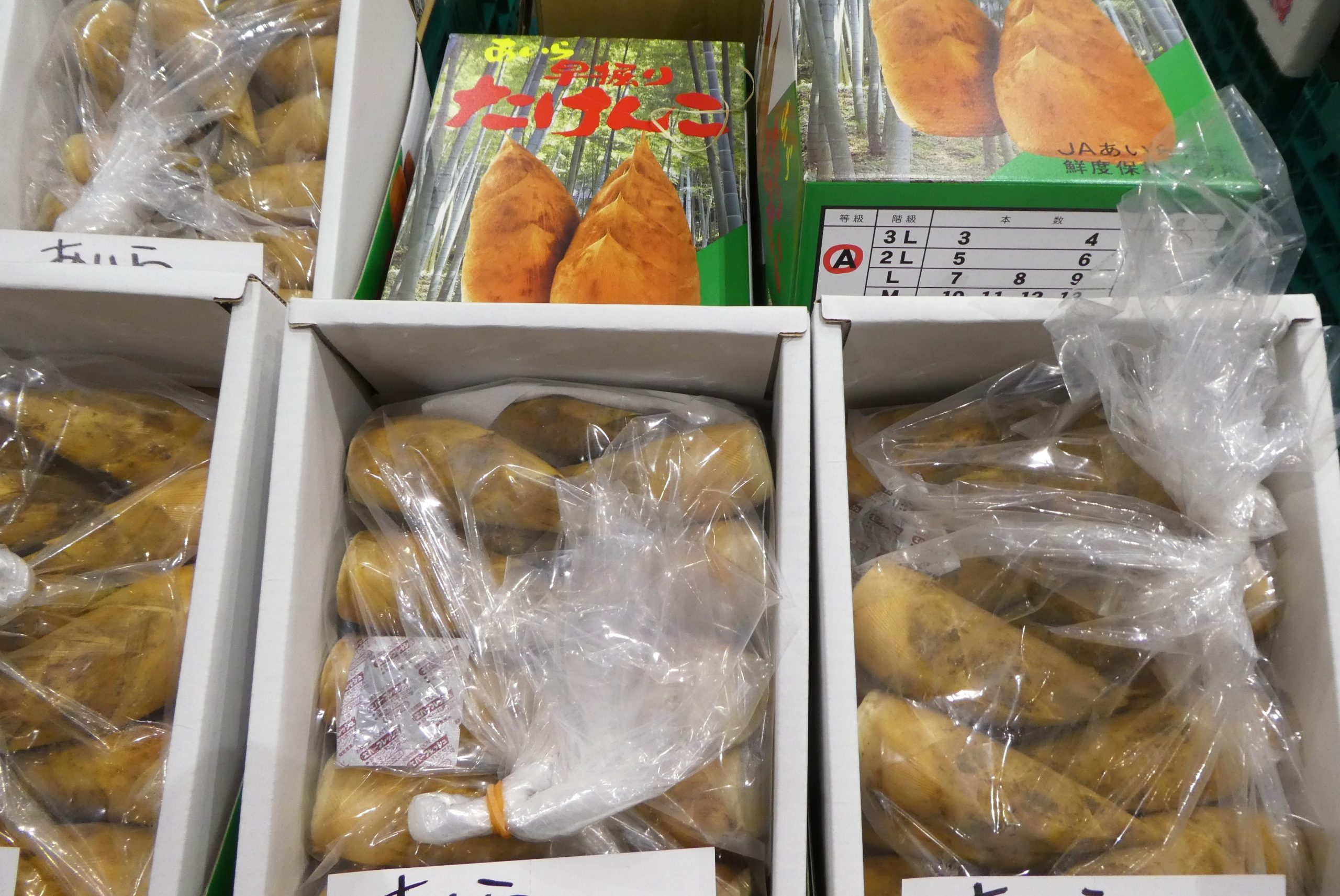 タケノコ】成長や出世を願う | ザ・豊洲市場【公式】