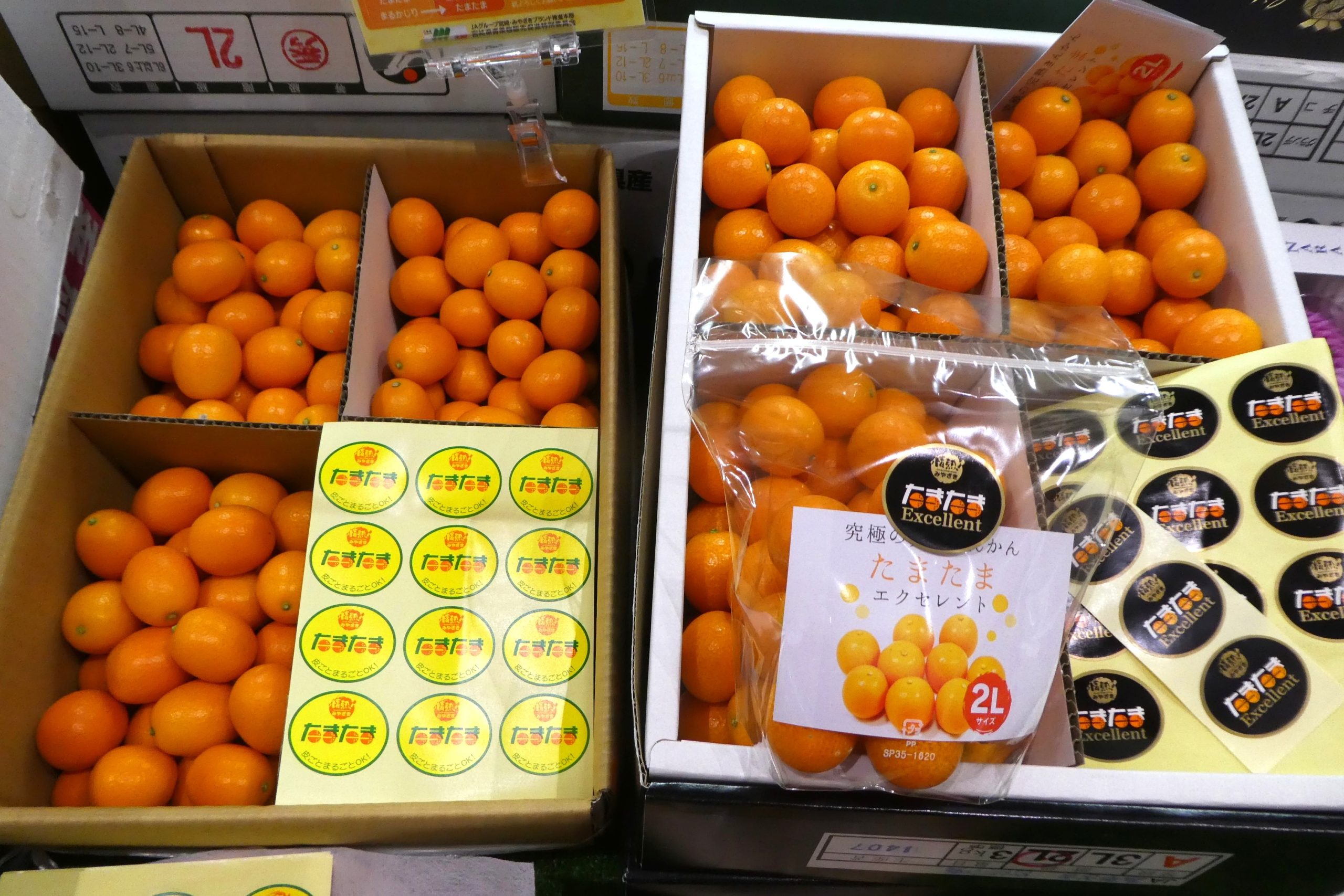 キンカン】宮崎県産の完熟した「たまたま」 | ザ・豊洲市場【公式】